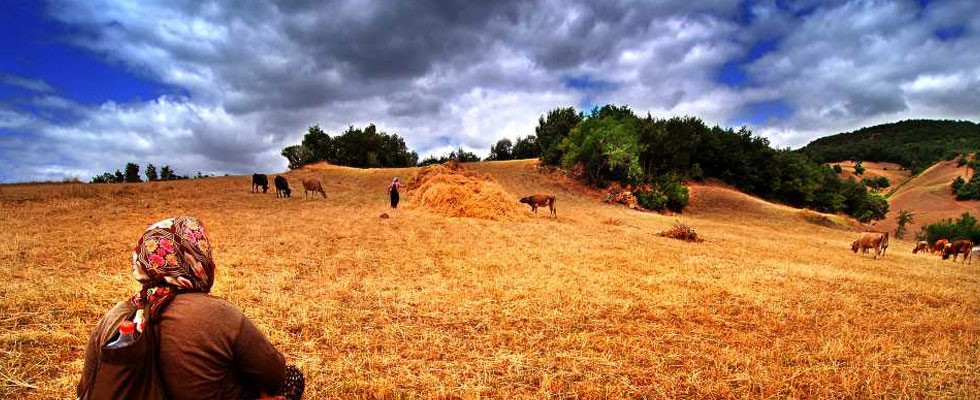 Göktaş, çiftçilere müjdeyi verdi