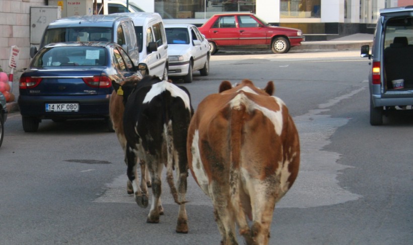 Son uyarı yapıldı