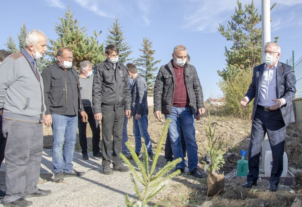 Rektör Alişarlı, Gerede’de incelemeler yaptı