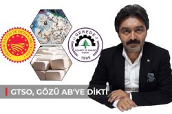 GTSO, GÖZÜ AB’YE DİKTİ