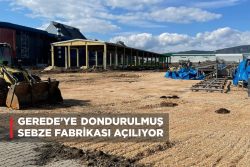 GEREDE’YE DONDURULMUŞ SEBZE FABRİKASI AÇILIYOR