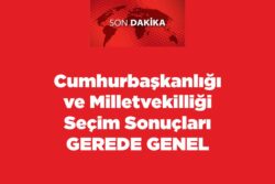 Cumhurbaşkanlığı ve Milletvekilliği Seçim Sonuçları Gerede Genel