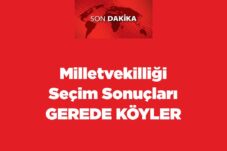 Milletvekilliği Seçim Sonuçları Gerede Köyler