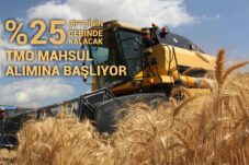 TMO MAHSUL ALIMINA BAŞLIYOR