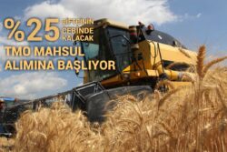 TMO MAHSUL ALIMINA BAŞLIYOR