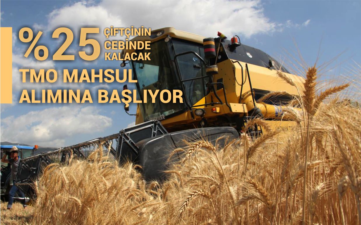 TMO MAHSUL ALIMINA BAŞLIYOR