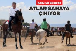 ATLAR SAHAYA ÇIKIYOR