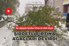 ŞİDDETLİ FIRTINA AĞAÇLARI DEVİRDİ