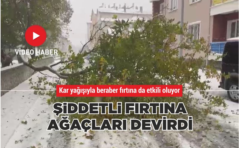 ŞİDDETLİ FIRTINA AĞAÇLARI DEVİRDİ