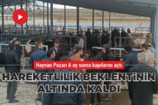 HAREKETLİLİK BEKLENTİNİN ALTINDA KALDI 