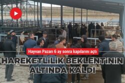 HAREKETLİLİK BEKLENTİNİN ALTINDA KALDI 