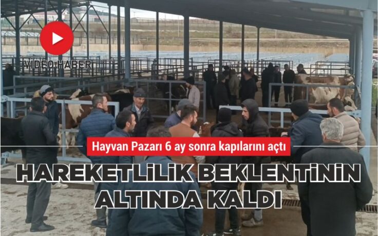 Hareketlilik beklentinin altında kaldı