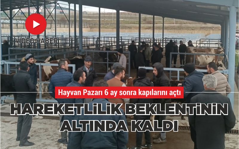 HAREKETLİLİK BEKLENTİNİN ALTINDA KALDI 