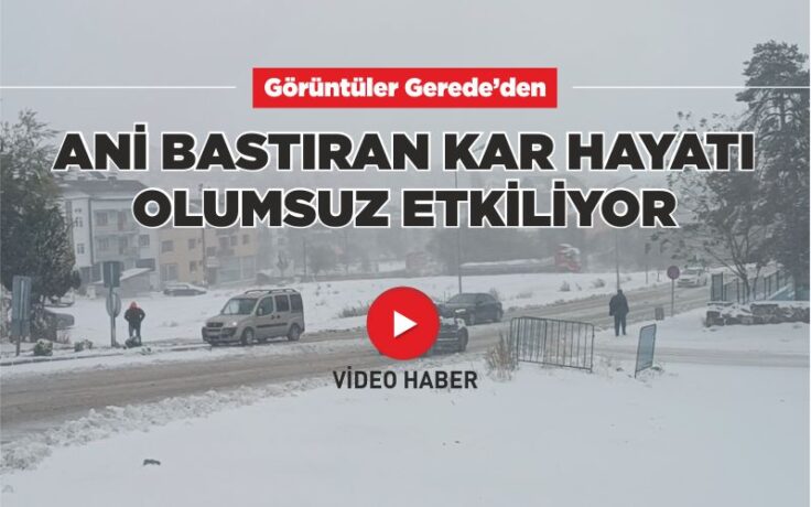 Ani bastıran kar hayatı olumsuz etkiliyor