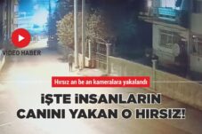 İŞTE İNSANLARIN CANINI YAKAN O HIRSIZ!