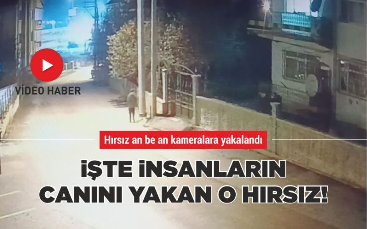 Işte insanların canını yakan o hırsız!