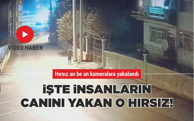 İŞTE İNSANLARIN CANINI YAKAN O HIRSIZ!