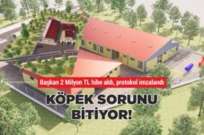 KÖPEK SORUNU BİTİYOR!