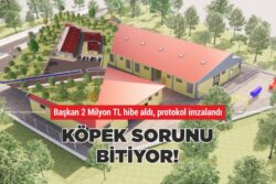 KÖPEK SORUNU BİTİYOR!