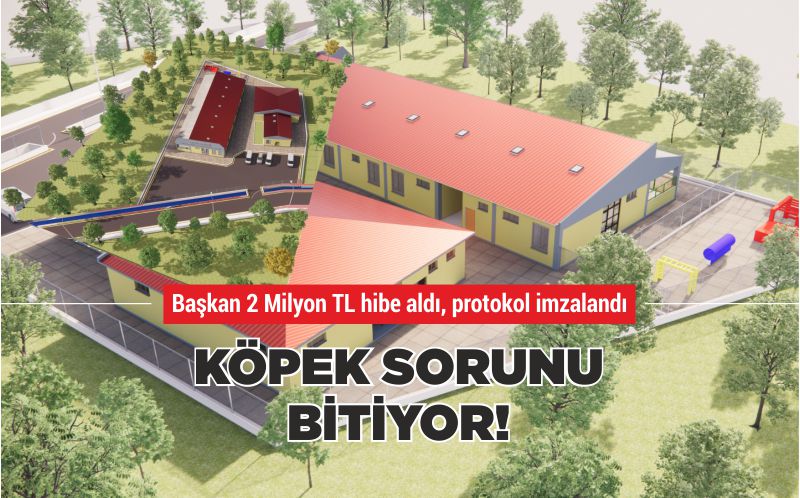 KÖPEK SORUNU BİTİYOR!