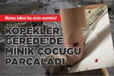 KÖPEKLER GEREDE’DE MİNİK ÇOCUĞU PARÇALADI