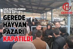 GEREDE HAYVAN PAZARI KAPATILDI