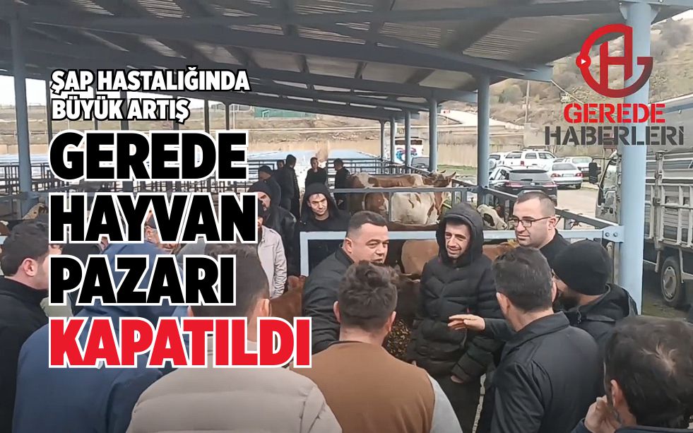 GEREDE HAYVAN PAZARI KAPATILDI