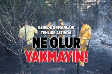 GEREDE ORMANLARI TEHLİKE ALTINDA