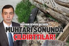 MUHTARI SONUNDA ÇILDIRTTILAR!