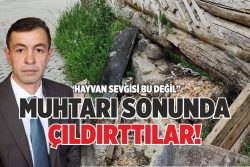 MUHTARI SONUNDA ÇILDIRTTILAR!
