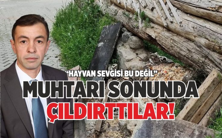 MUHTARI SONUNDA ÇILDIRTTILAR!